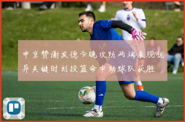 申京赞谢泼德今晚攻防两端表现优异关键时刻投篮命中助球队获胜