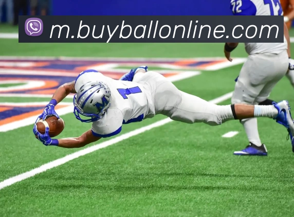 在线买球网站APP 高清赛事图